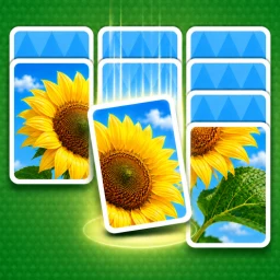 Symbol von Jigdrop Match-Solitaire Puzzle